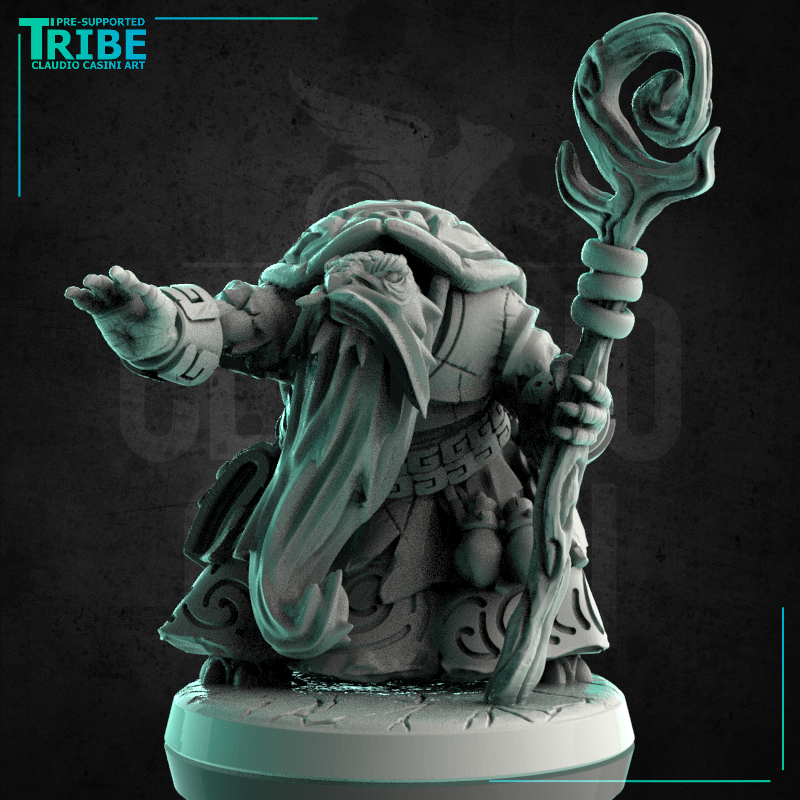 (0231) Male turtle tortle folk summoner wizard druid with a magic club